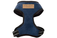 Thumbnail for Dachshund Blue Harness