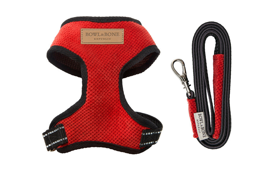 Dachshund Harness and Lead