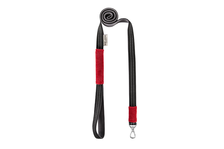 Dachshund Harness and Leash Red